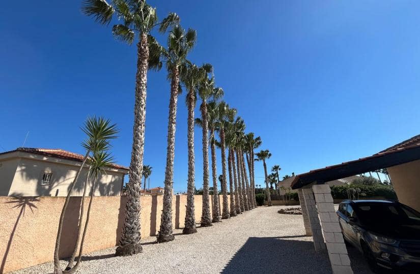 5 Zimmer Villa zu verkaufen in Catral mit Pool Garage - 449.995 € (Ref: 9688654)