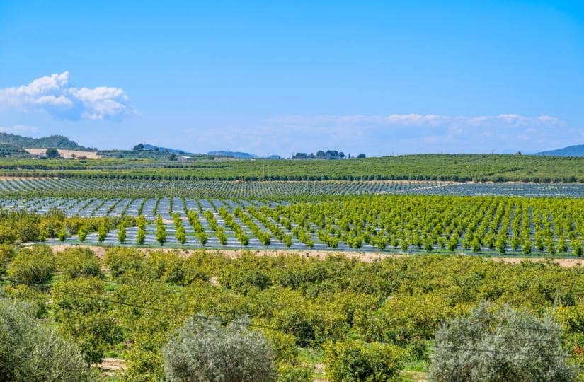 2 soverom Leilighet til salgs i Algorfa med svømmebasseng garasje - € 145 000 (Ref: 9719336)