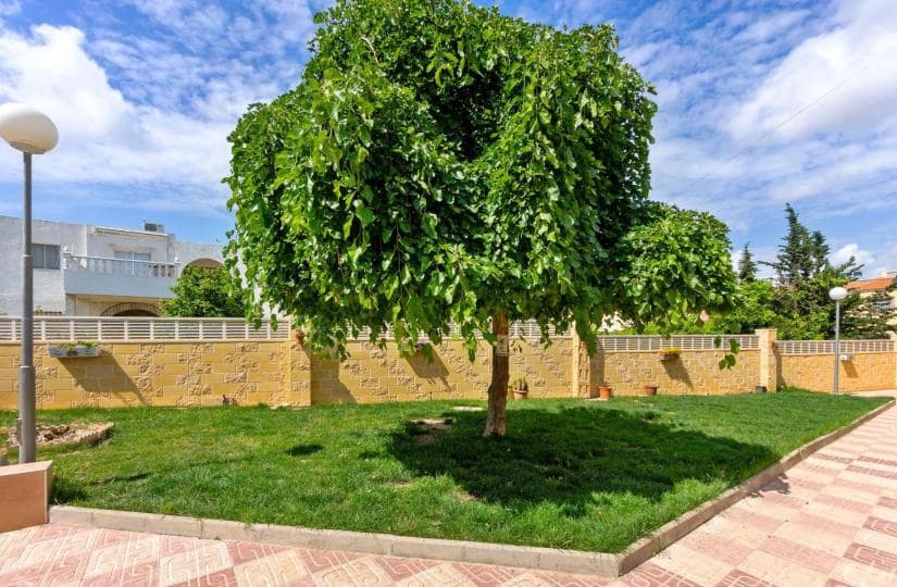 1 slaapkamer Appartement te koop in El Chaparral met zwembad - € 119.000 (Ref: 9780182)