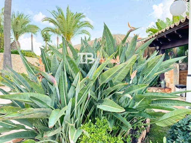 9 soverom Villa til salgs i Peguera / Paguera, Calvià med svømmebasseng garasje - € 4 200 000 (Ref: 8625647)