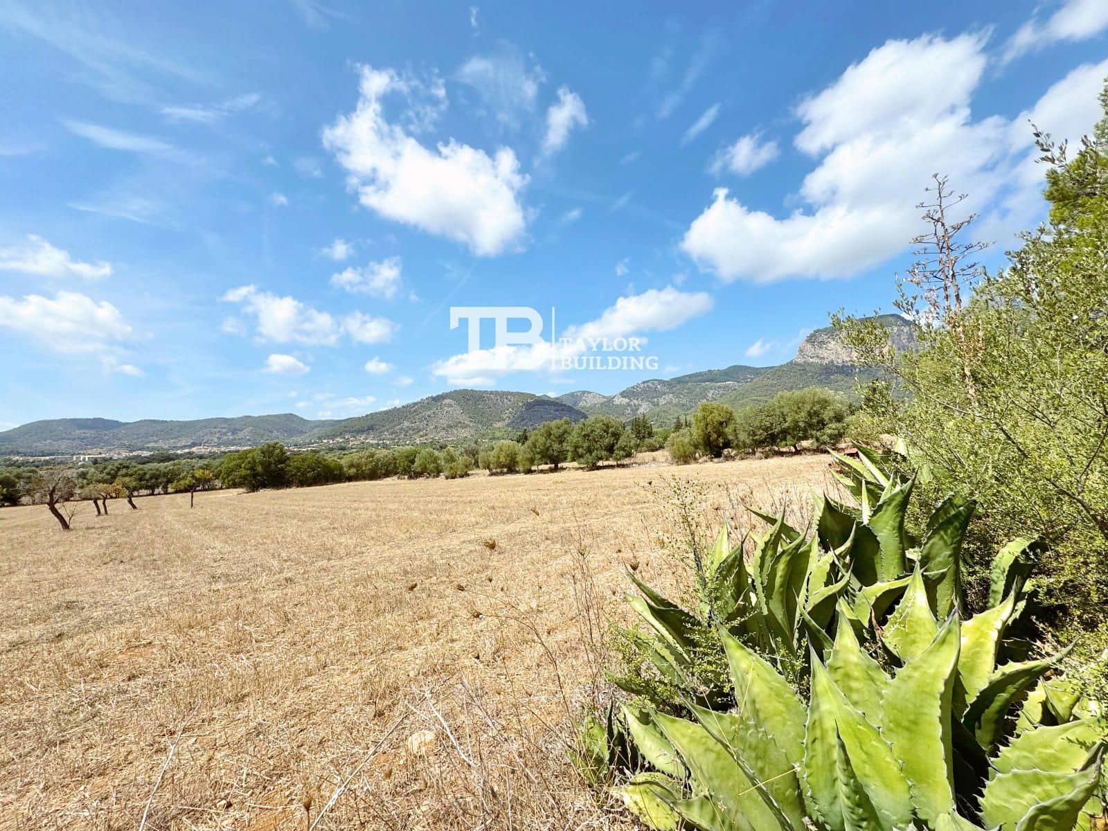 5 soveværelse Villa til salg i Alaro med swimmingpool garage - € 2.800.000 (Ref: 9210537)