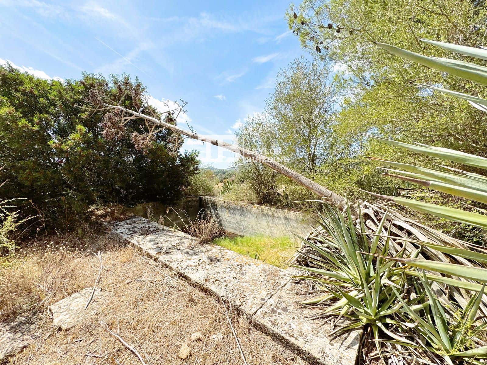 5 soveværelse Villa til salg i Alaro med swimmingpool garage - € 2.800.000 (Ref: 9210537)