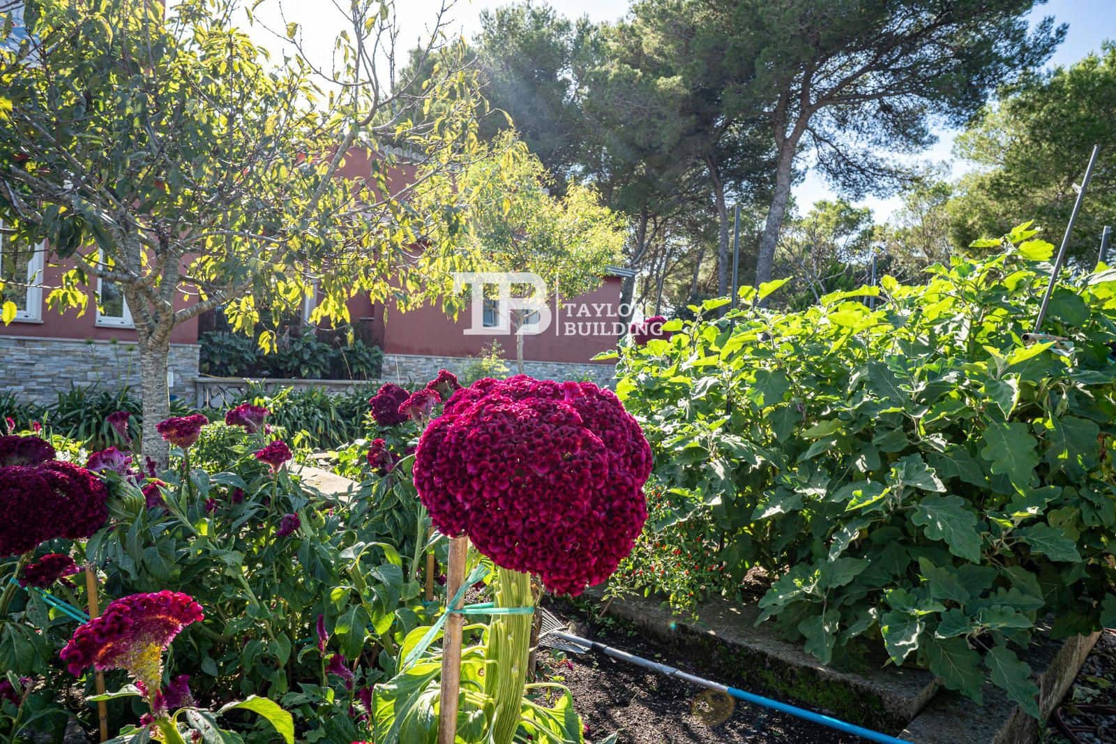 6 soveværelse Villa til salg i Son Servera med swimmingpool garage - € 2.655.000 (Ref: 9387052)