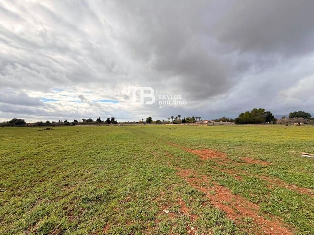 Byggegrund til salg i Inca - € 690.000 (Ref: 9426743)