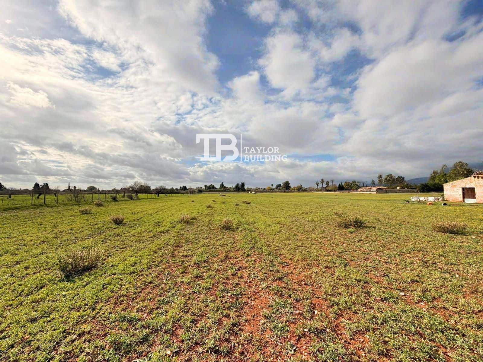 Tontti myytävänä paikassa Inca - 690 000 € (Ref: 9426743)