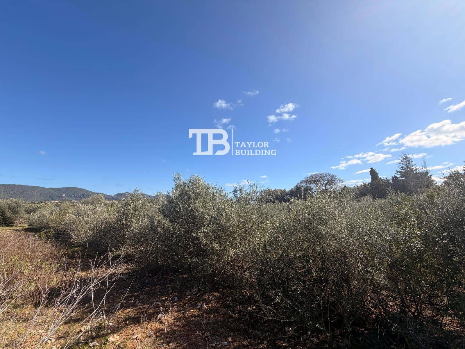 Tomt till salu i Son Servera - 395 000 € (Ref: 9631548)