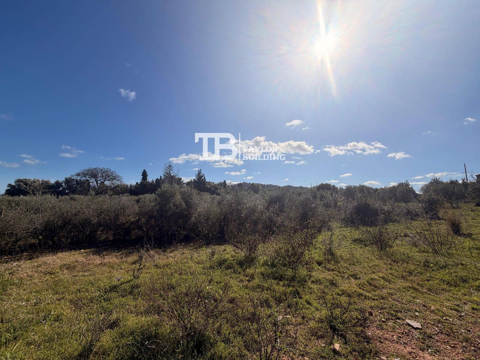 Tomt till salu i Son Servera - 395 000 € (Ref: 9631548)