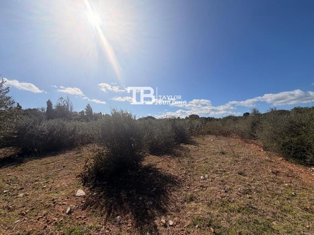 Tomt till salu i Son Servera - 395 000 € (Ref: 9631548)