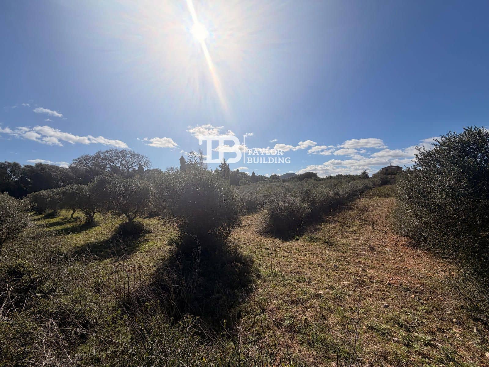 Tomt till salu i Son Servera - 395 000 € (Ref: 9631548)