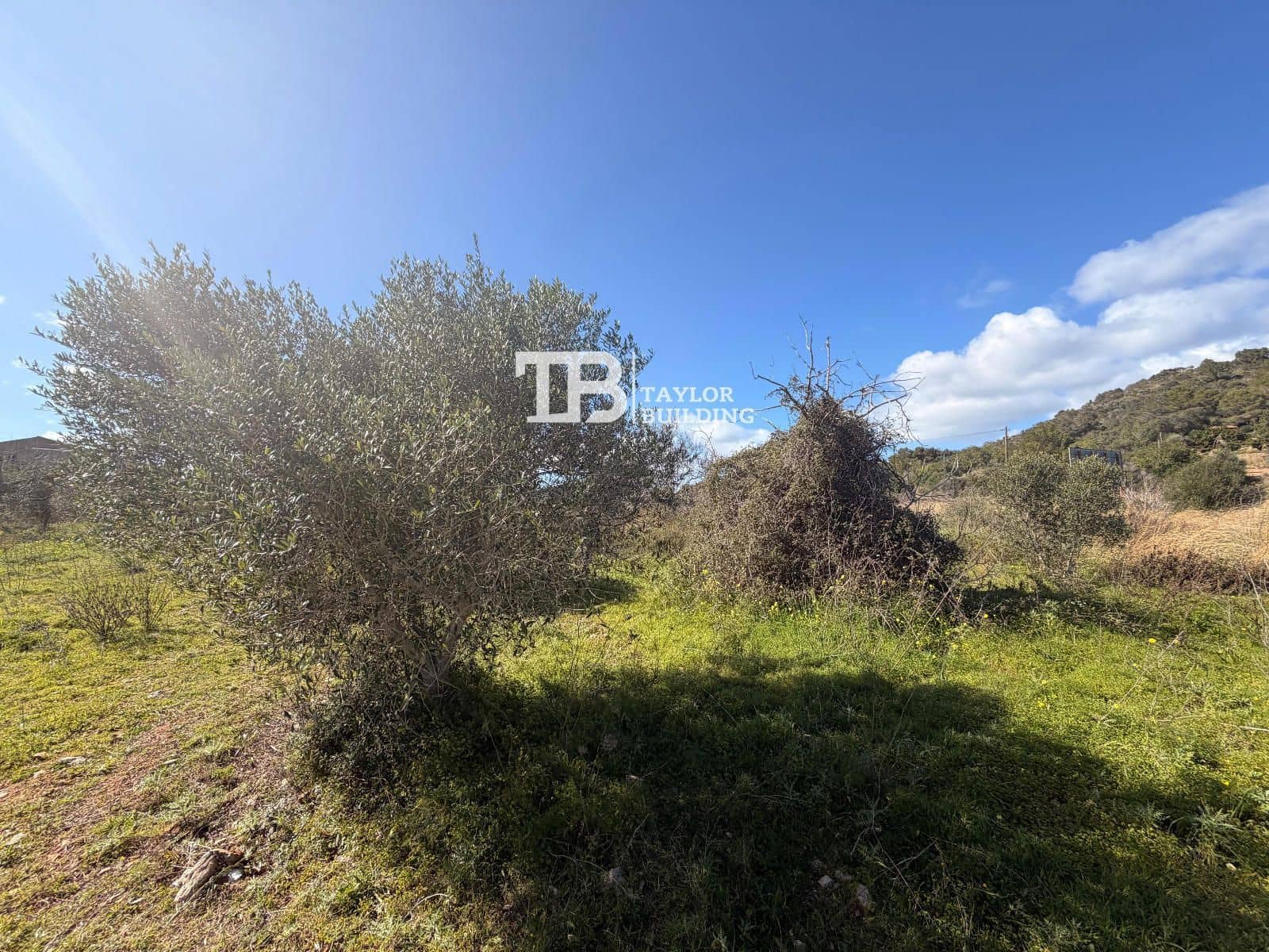 Tomt till salu i Son Servera - 395 000 € (Ref: 9631548)