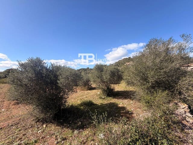 Tomt till salu i Son Servera - 395 000 € (Ref: 9631548)