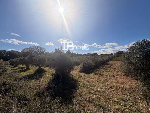 Tomt till salu i Son Servera - 395 000 € (Ref: 9631548)