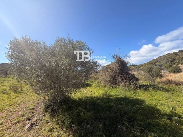 Tomt till salu i Son Servera - 395 000 € (Ref: 9631548)