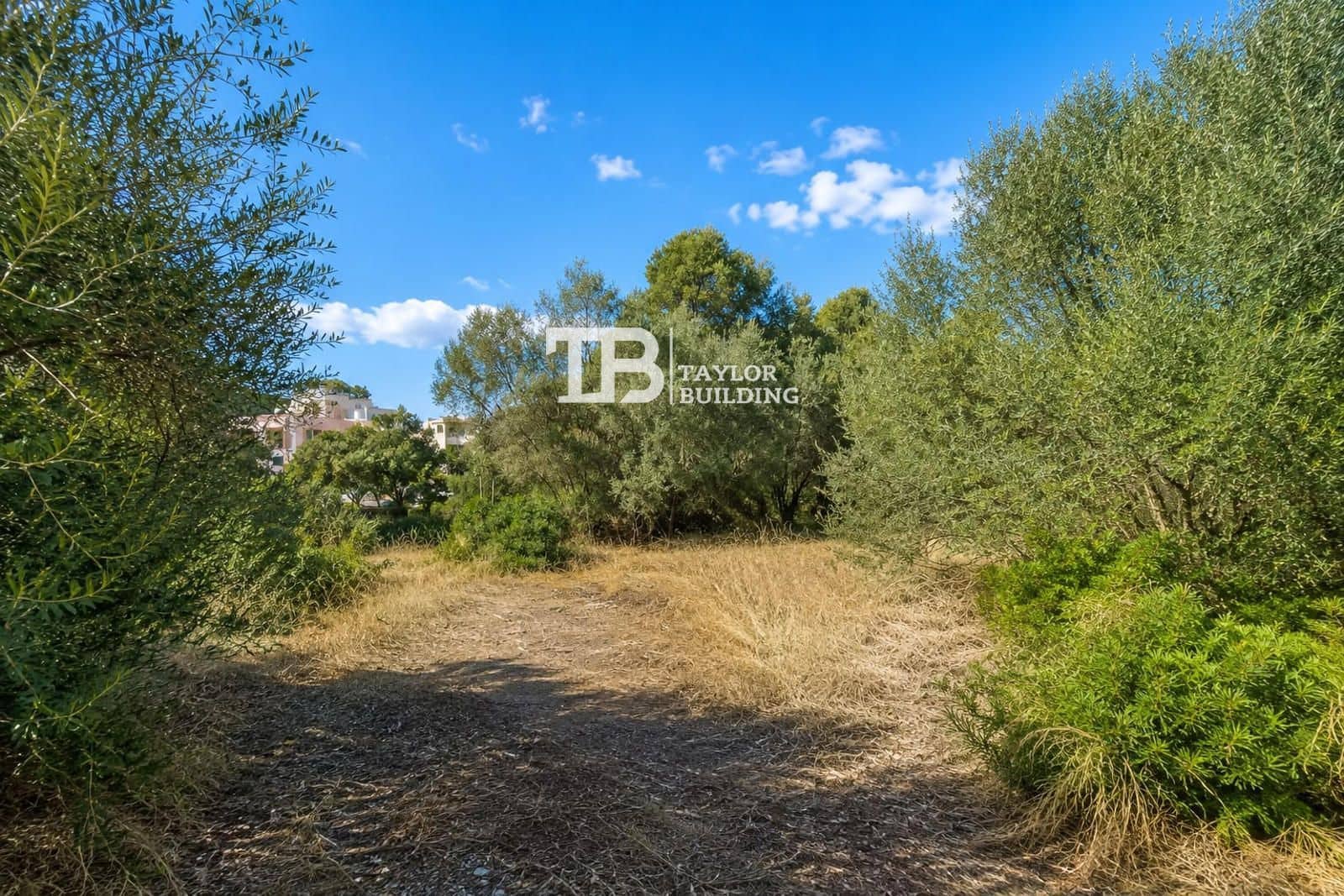 Terreno para Construção para venda em Torrenova - 995 000 € (Ref: 9891116)