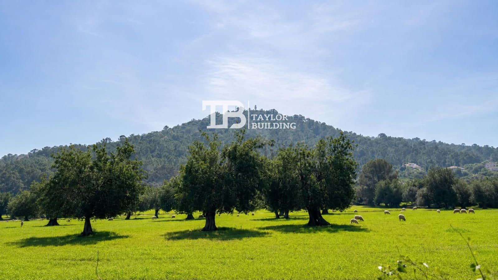 Solar/Parcela en Selva en venta - 469.000 € (Ref: 9989937)