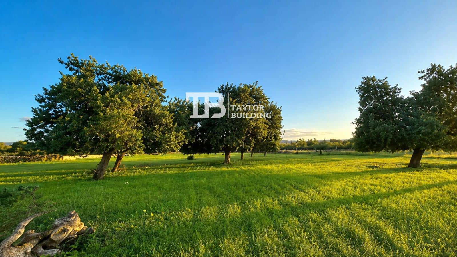 Solar/Parcela en Selva en venta - 469.000 € (Ref: 9989937)
