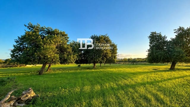 Solar/Parcela en Selva en venta - 469.000 € (Ref: 9989937)