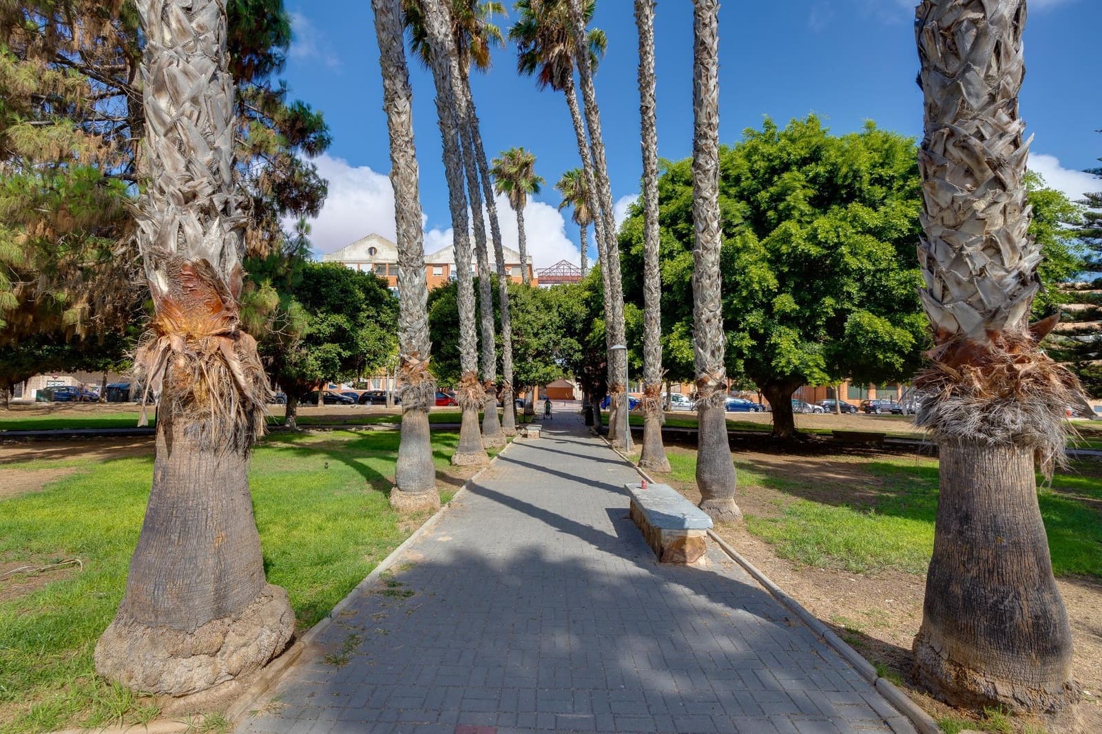 3 soverom Penthouse til salgs i Torrevieja - € 225 000 (Ref: 10011610)