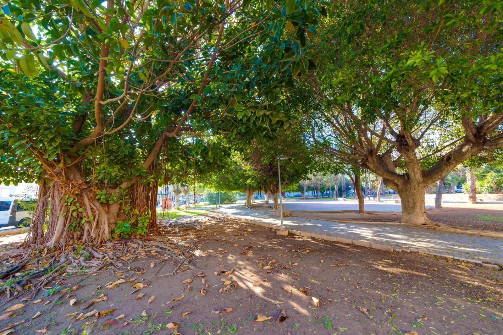 3 soveværelse Penthouse til salg i Torrevieja - € 160.000 (Ref: 9157991)