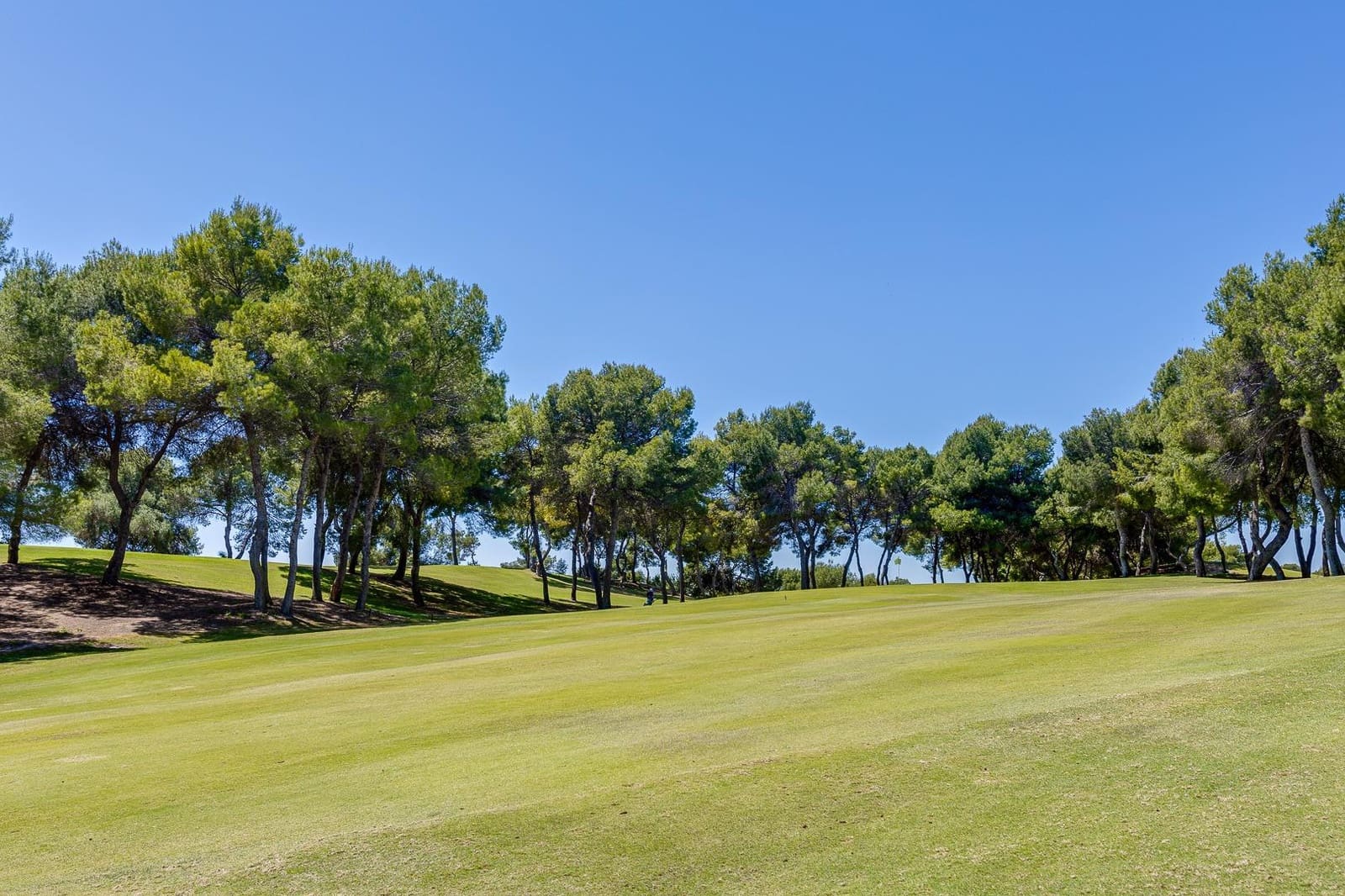 2 soveværelse Penthouse til salg i Las Ramblas Golf med swimmingpool garage - € 320.000 (Ref: 9209504)
