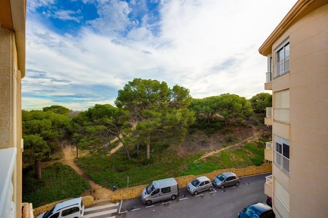 Studio for sale in Guardamar del Segura - € 79,500 (Ref: 9452303)