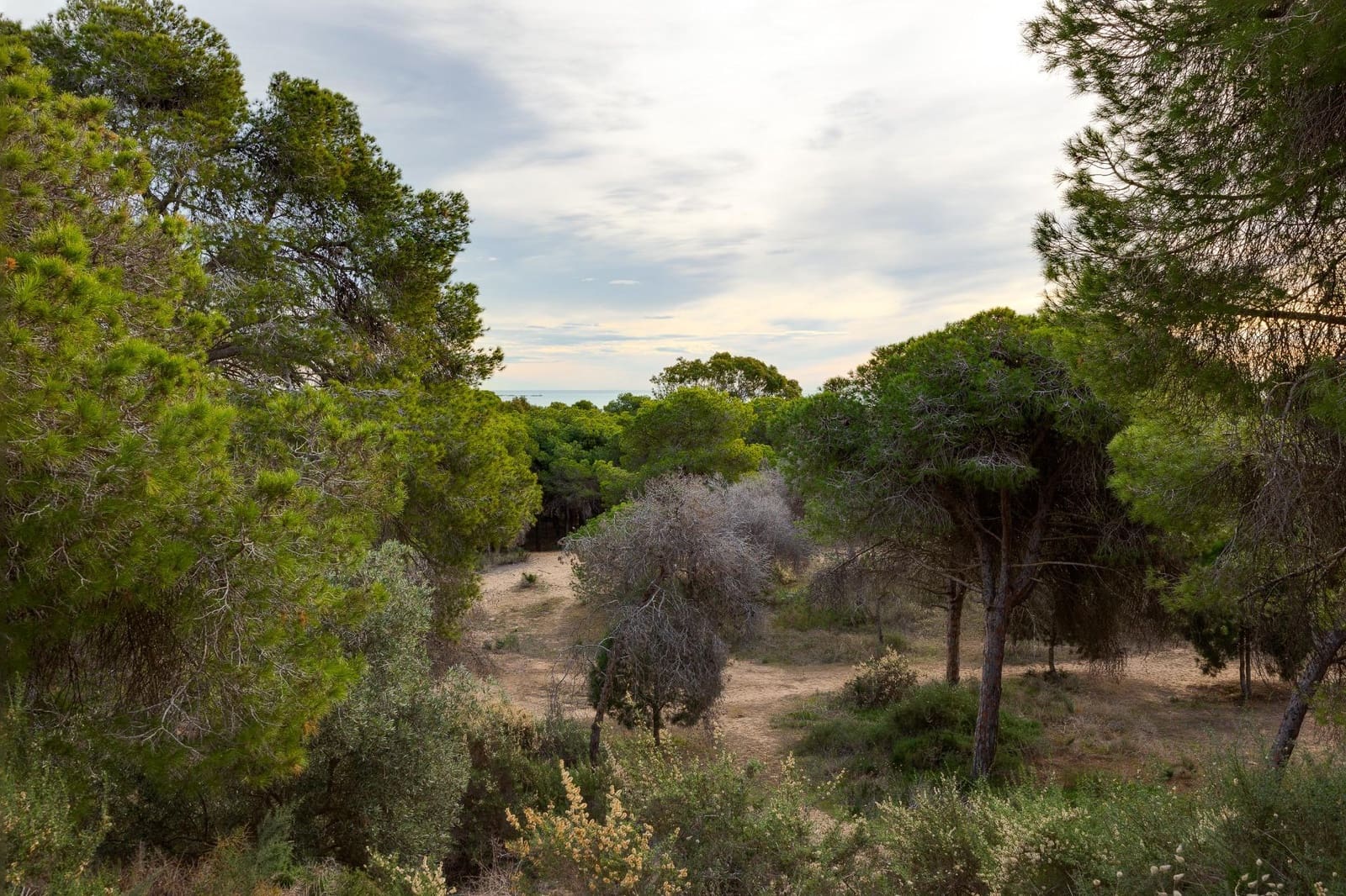 Yksiö myytävänä paikassa Guardamar del Segura - 79 500 € (Ref: 9452303)