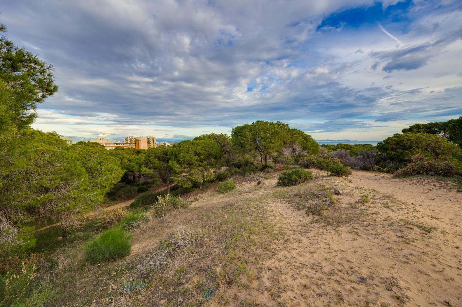 Yksiö myytävänä paikassa Guardamar del Segura - 79 500 € (Ref: 9452303)