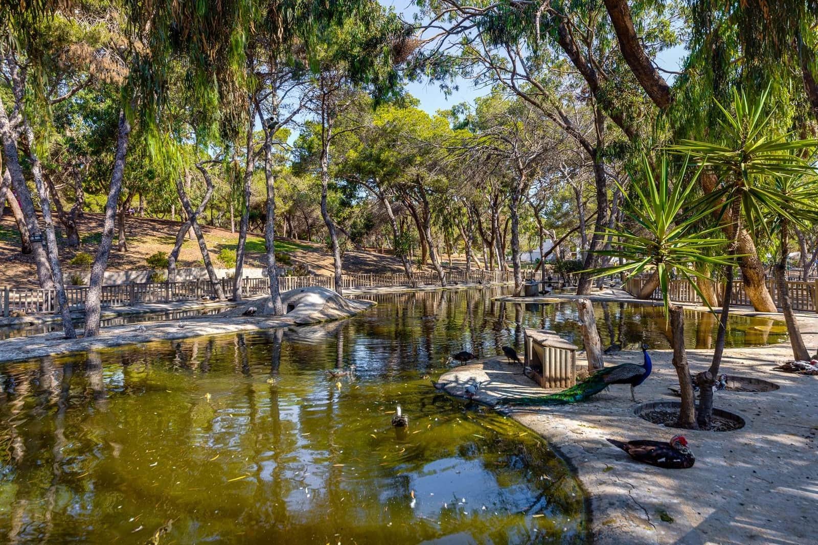 Yksiö myytävänä paikassa Guardamar del Segura - 79 500 € (Ref: 9452303)