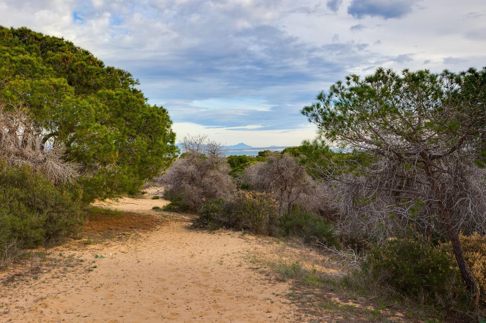 Yksiö myytävänä paikassa Guardamar del Segura - 79 500 € (Ref: 9452303)