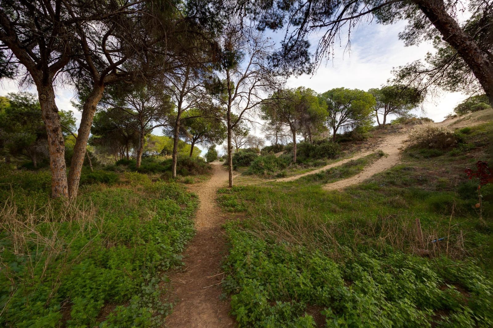 Yksiö myytävänä paikassa Guardamar del Segura - 79 500 € (Ref: 9452303)