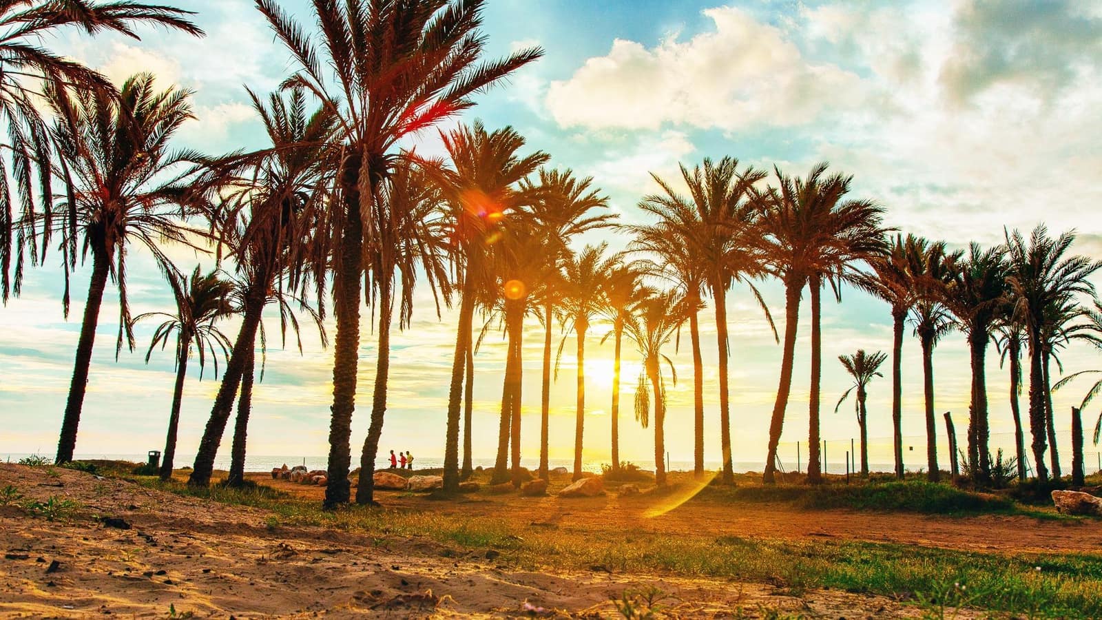 1 sovrum Lägenhet till salu i Torrevieja - 115 000 € (Ref: 9608235)