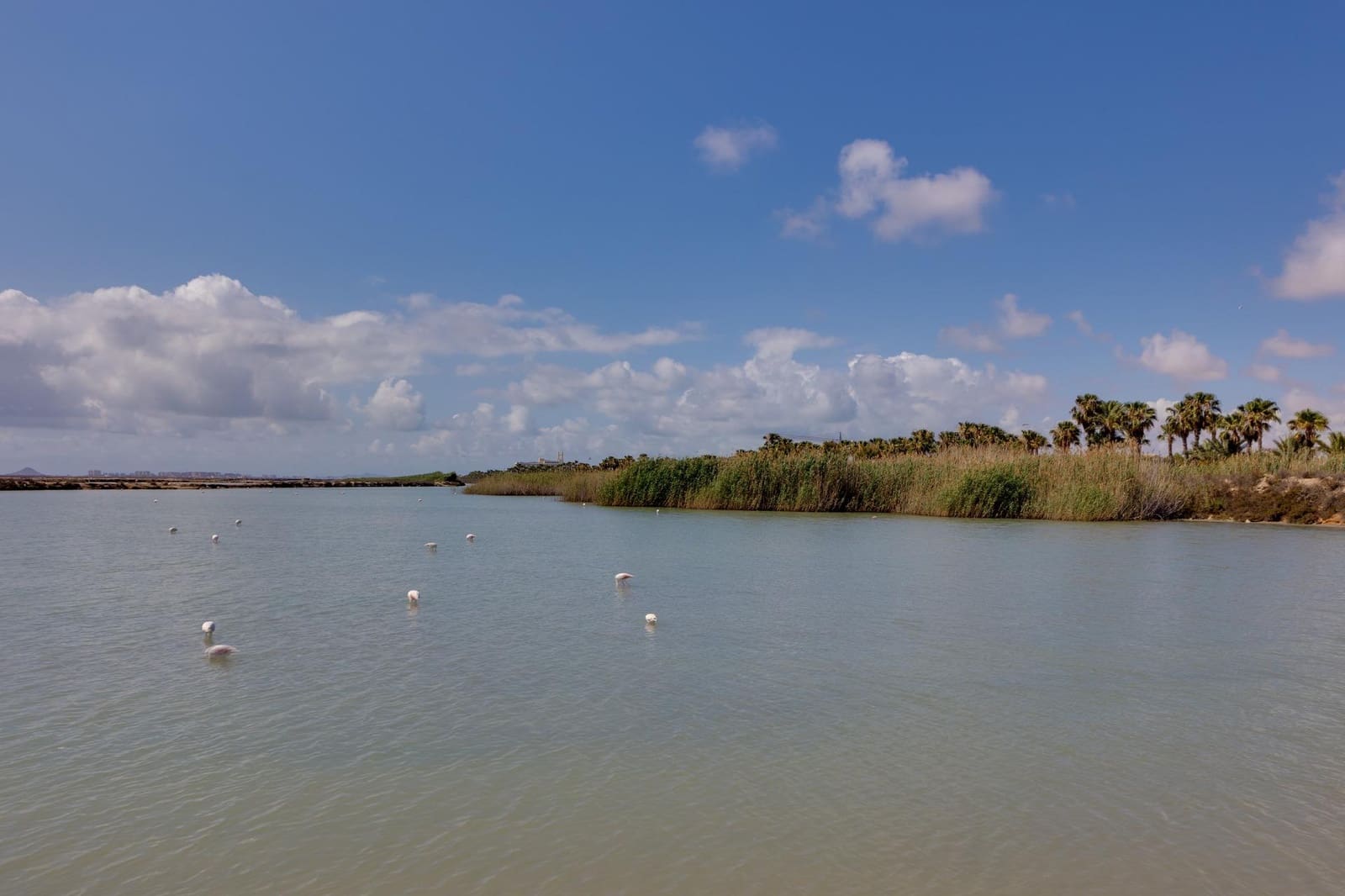 4 camera da letto Villa in vendita in Pinar de Campoverde con piscina garage - 399.000 € (Rif: 9666756)