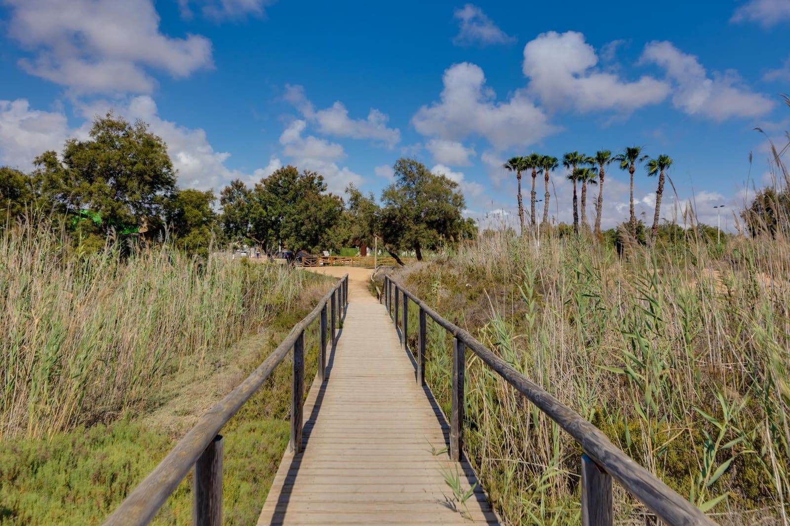 4 camera da letto Villa in vendita in Pinar de Campoverde con piscina garage - 399.000 € (Rif: 9666756)