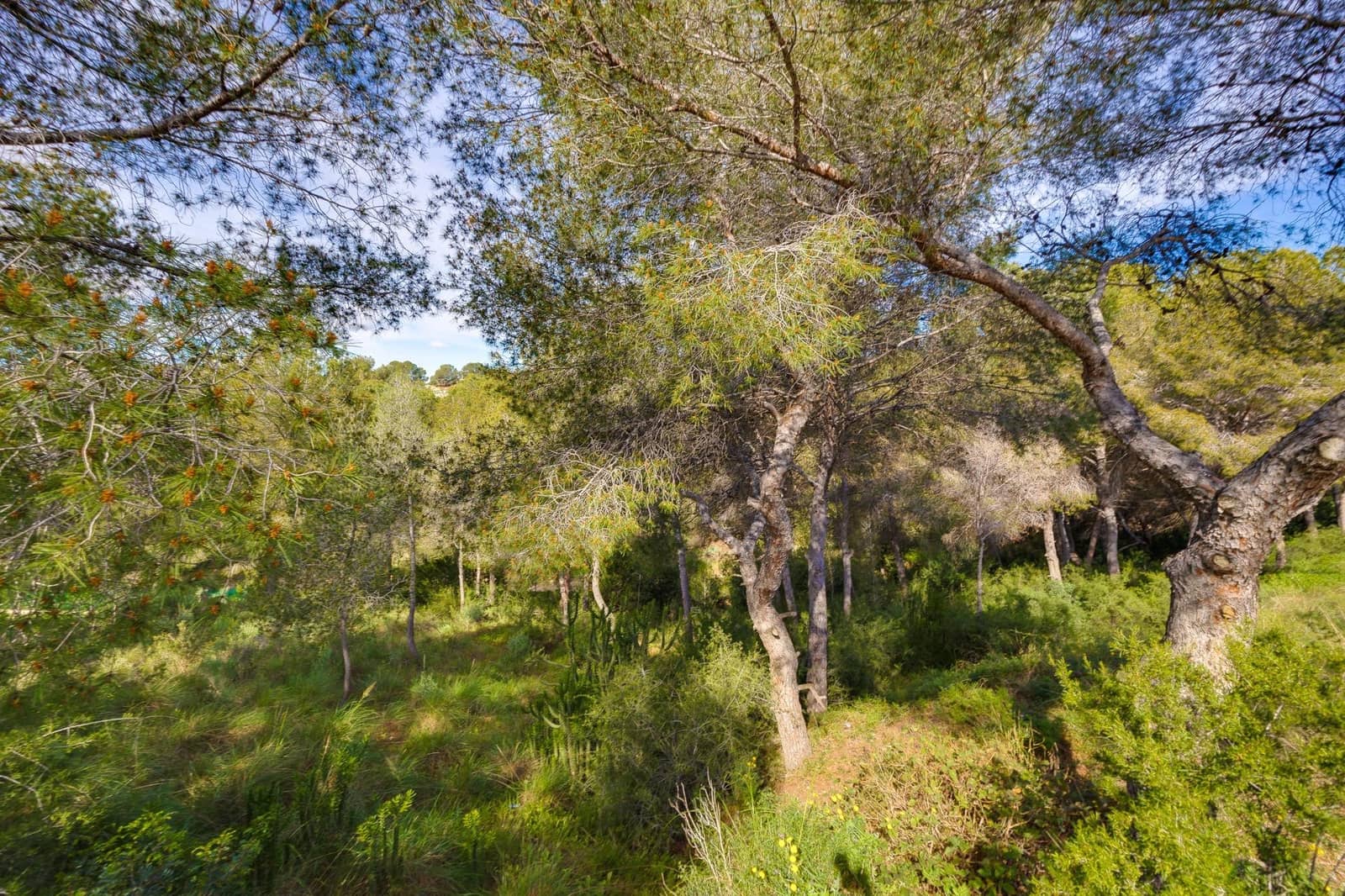 4 camera da letto Villa in vendita in Pinar de Campoverde con piscina garage - 399.000 € (Rif: 9666756)