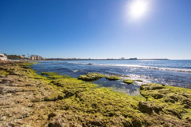 3 quarto Apartamento para venda em Playa de los Náufragos, Torrevieja - 315 000 € (Ref: 9780762)