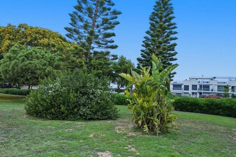 Adosado de 3 habitaciones en Torrevieja en venta - 329.000 € (Ref: 9894078)