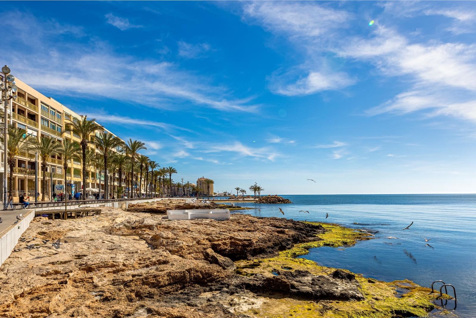 3 soveværelse Lejlighed til salg i Torrevieja - € 220.000 (Ref: 9900952)