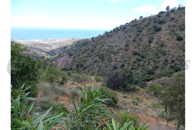 Terreno Não Urbanizado para venda em Sayalonga - 50 000 € (Ref: 10075700)