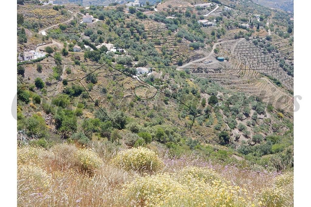 Mark till salu i Sayalonga - 50 000 € (Ref: 10075700)