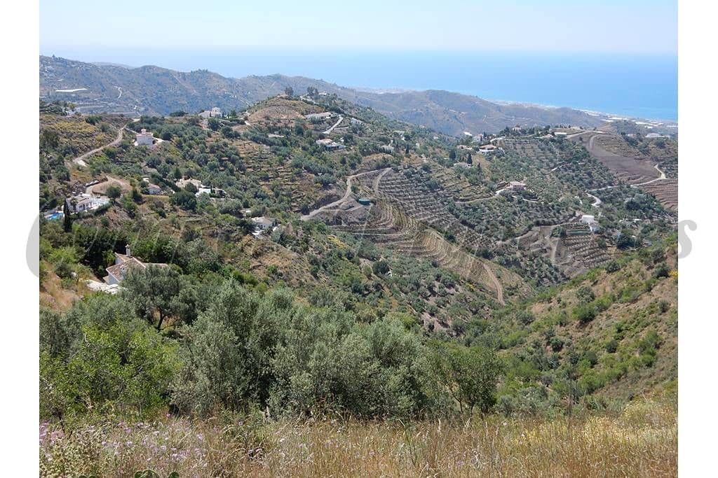 Mark till salu i Sayalonga - 50 000 € (Ref: 10075700)