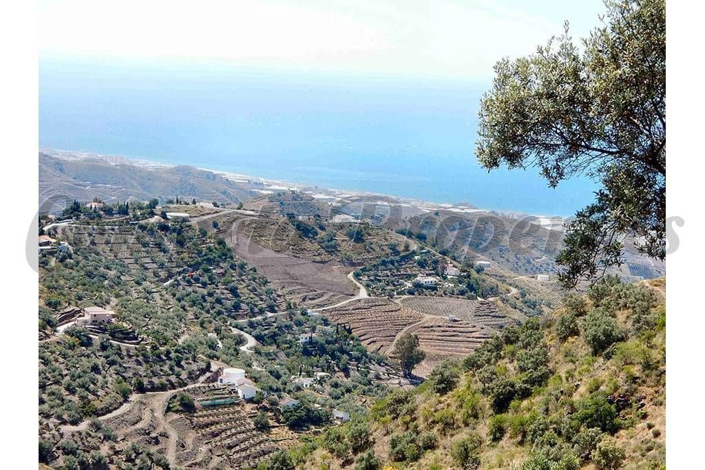 Mark till salu i Sayalonga - 50 000 € (Ref: 10075700)