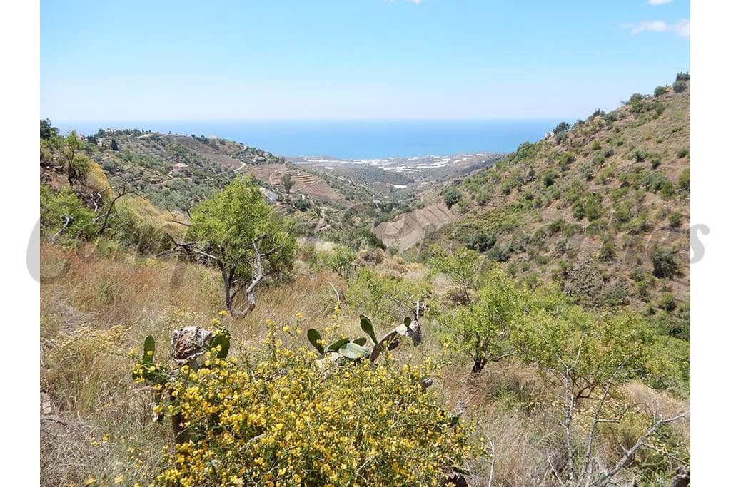 Mark till salu i Sayalonga - 50 000 € (Ref: 10075700)
