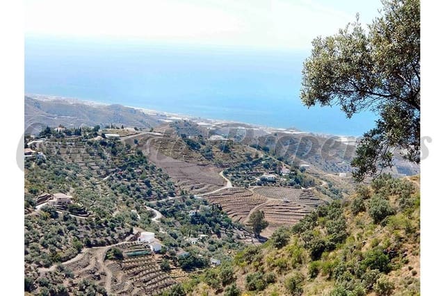 Terreno Não Urbanizado para venda em Sayalonga - 50 000 € (Ref: 10075700)