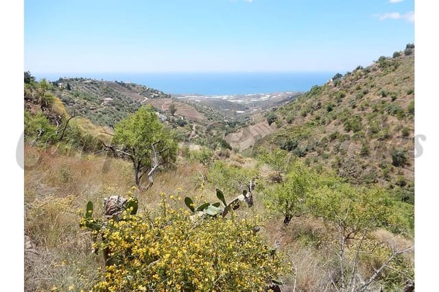 Terreno Não Urbanizado para venda em Sayalonga - 50 000 € (Ref: 10075700)