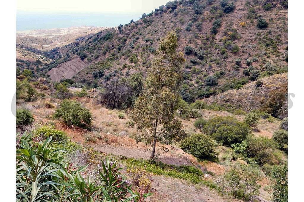 Mark till salu i Sayalonga - 50 000 € (Ref: 10075700)