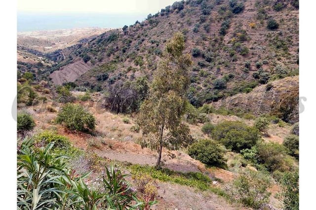 Terreno Não Urbanizado para venda em Sayalonga - 50 000 € (Ref: 10075700)