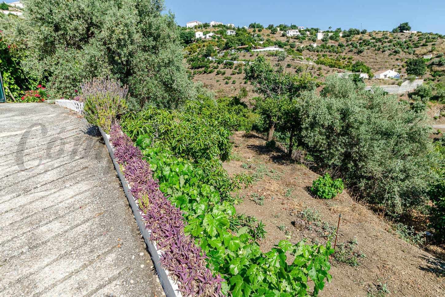 2 soveværelse Finca/Landehus til salg i Canillas de Albaida med garage - € 289.700 (Ref: 10075722)
