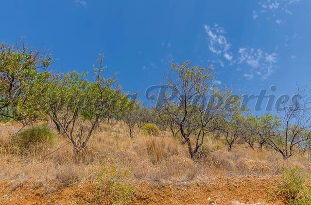 Grunde uden byggetilladelser til salg i Sedella - € 30.000 (Ref: 10075766)