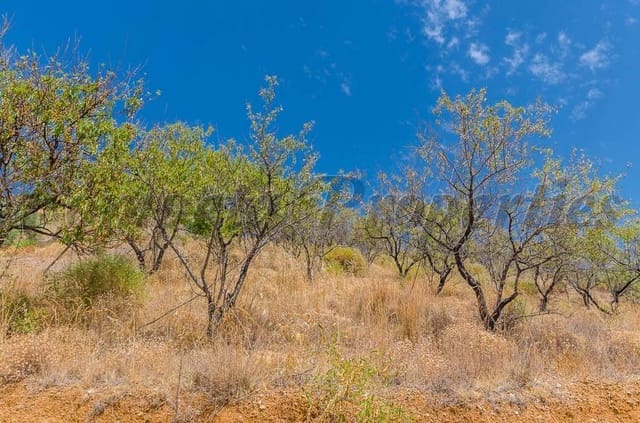 Grunde uden byggetilladelser til salg i Sedella - € 30.000 (Ref: 10075766)