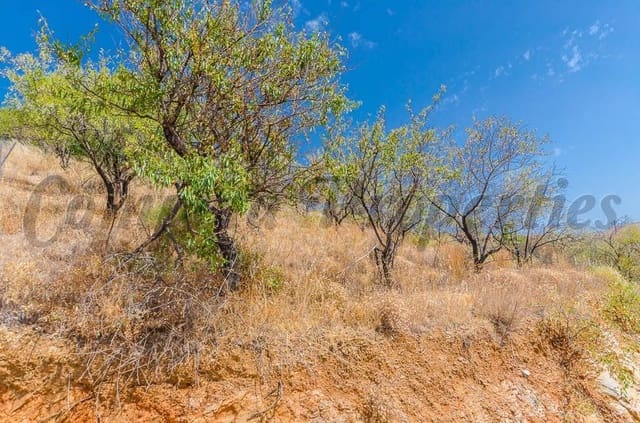 Grunde uden byggetilladelser til salg i Sedella - € 30.000 (Ref: 10075766)